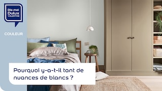 Pourquoi y-a-t-il tant de nuances de blancs ? et comment trouver la bonne teinte ?