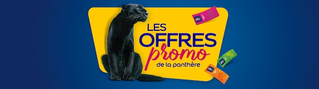 Les offres promotions de Dulux Valentine