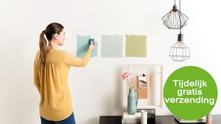 Flexa Kleurtesterpromo