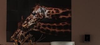 Een warme woonkamer met lichte kleuren