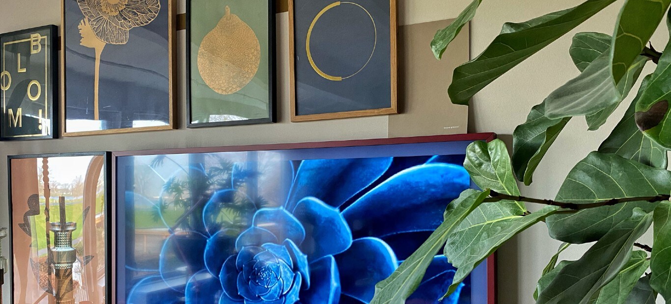 Brave ground brengt rust