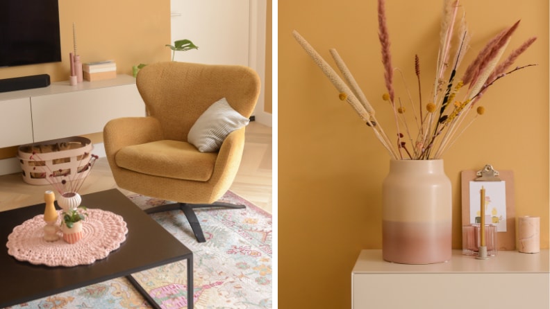 Binti Camel brengt warmte in huis 