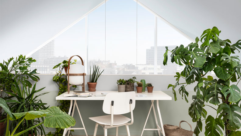 een urban jungle kamer met de muurkleur Tranquil Dawn , T5.03.72 en Vleugje Oceaan