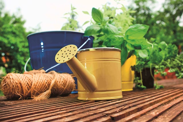 Innaffiatoio vintage da ridipingere