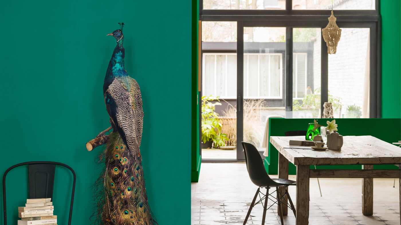 Comedor vibrante verde