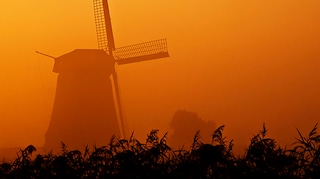 ¡Qué empiece la fiesta con el naranja!