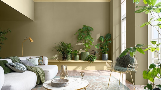 ambiance trendcollection 2023