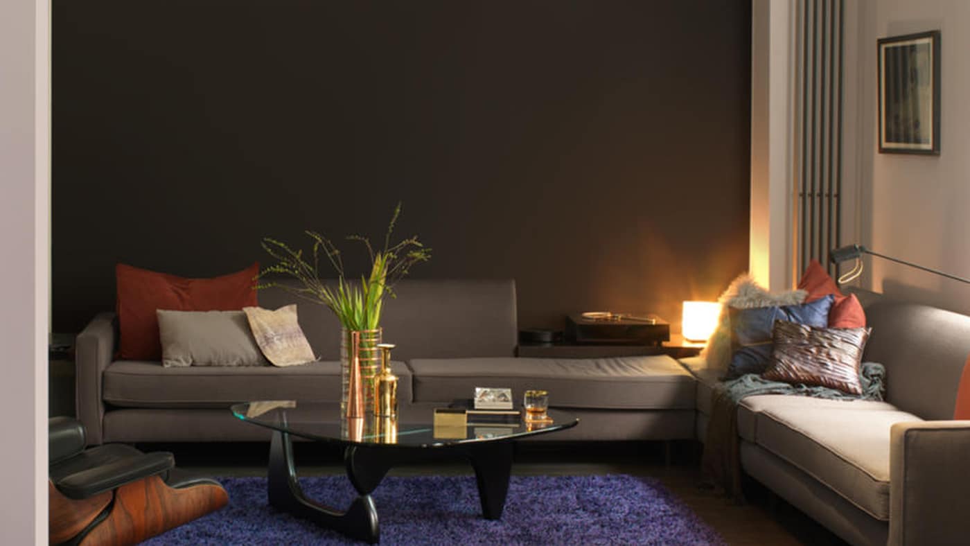 couleurs foncées séjour