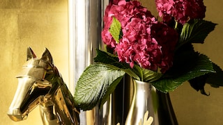 De l’or dans les doigts ?