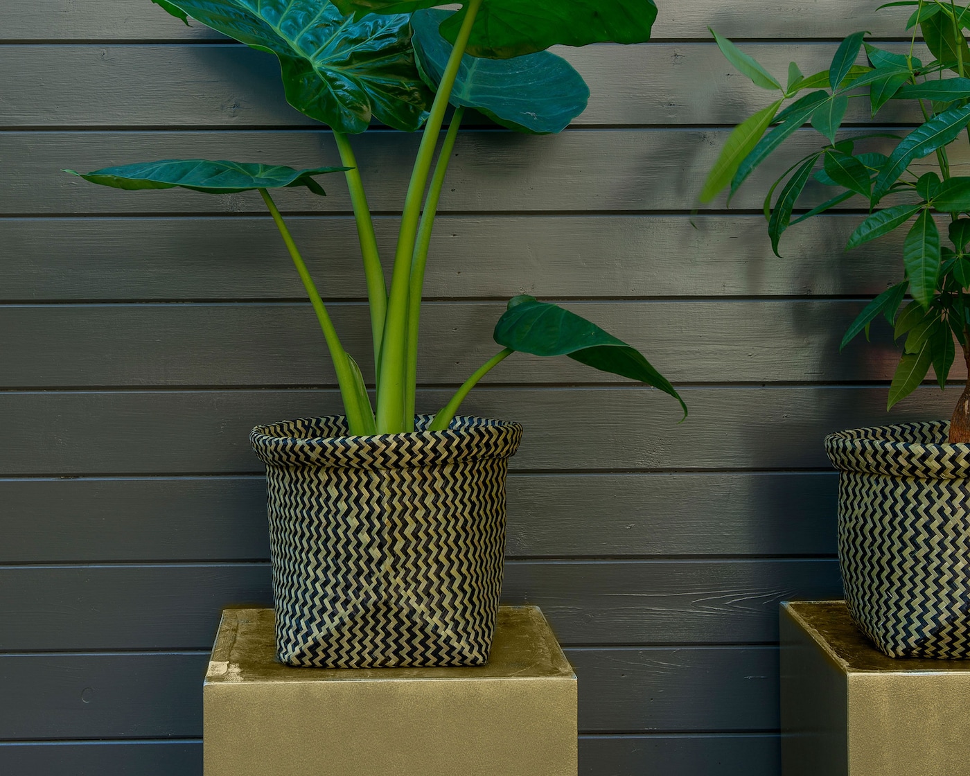 espace extérieur abri de jardin