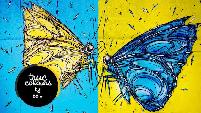 Dzia opte pour des couleurs vives qui respirent la quiétude