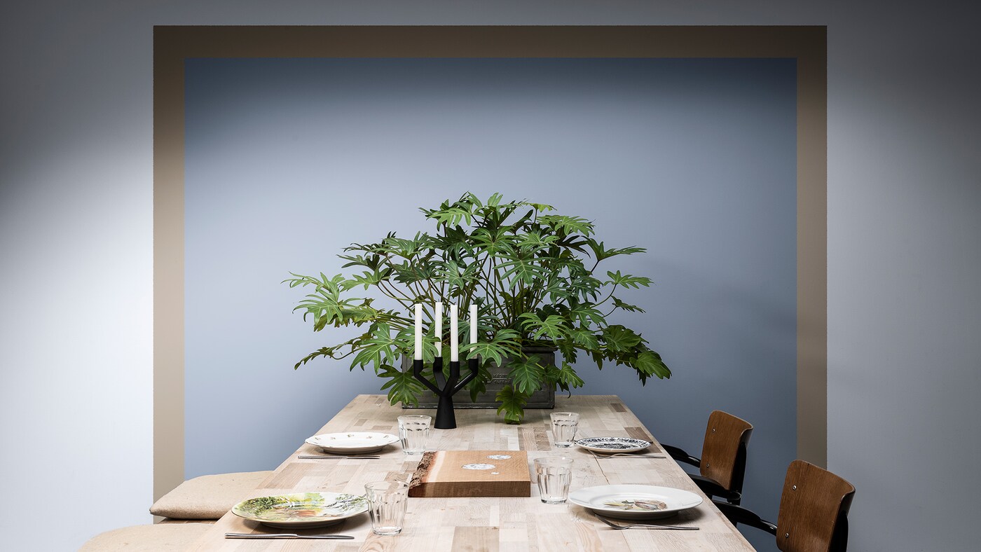 Salle à manger peinte d’un carré bleu encadré de brun, avec table et plante