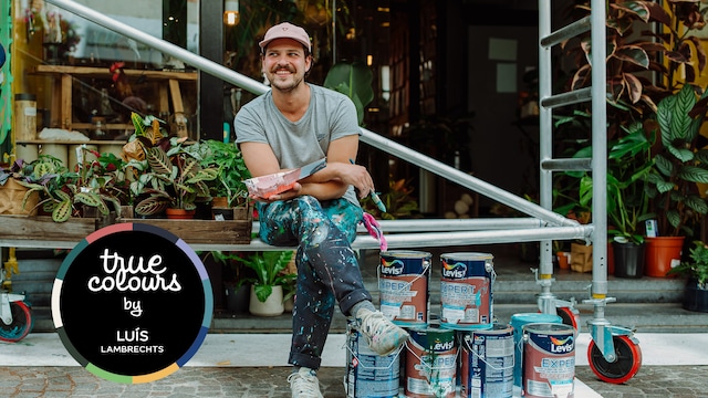 Luís Manuel Lambrechts, artiste visuel, donne vie aux couleurs de la forêt vierge