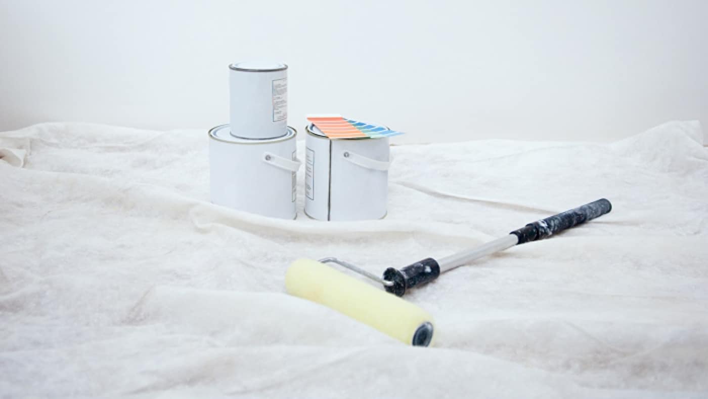 Decoratie advies-hoe de juiste verfrol kiezen 