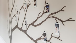 Een boom om mee op te groeien