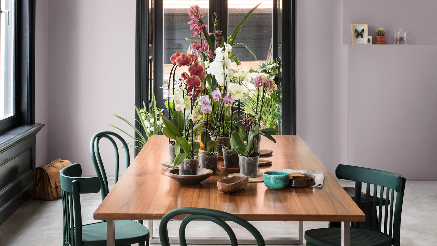 Lila kamer met groene stoelen. Slimme verftechnieken kunnen je helpen om oude meubels te ‘upcyclen’ zodat ze bij je lifestyle aansluiten.