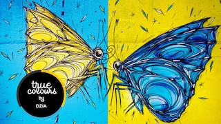 True Colours – Dzia kiest felle kleuren die toch rust uitstralen