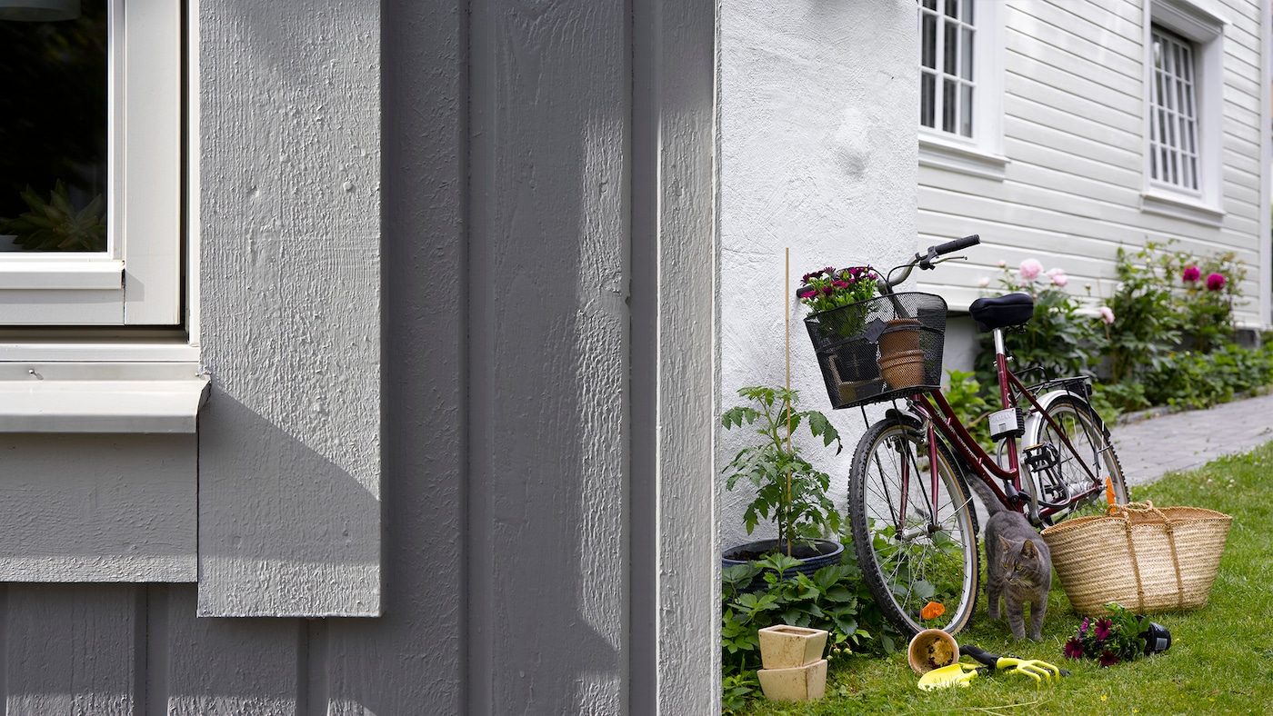 Lyse grå husfarve