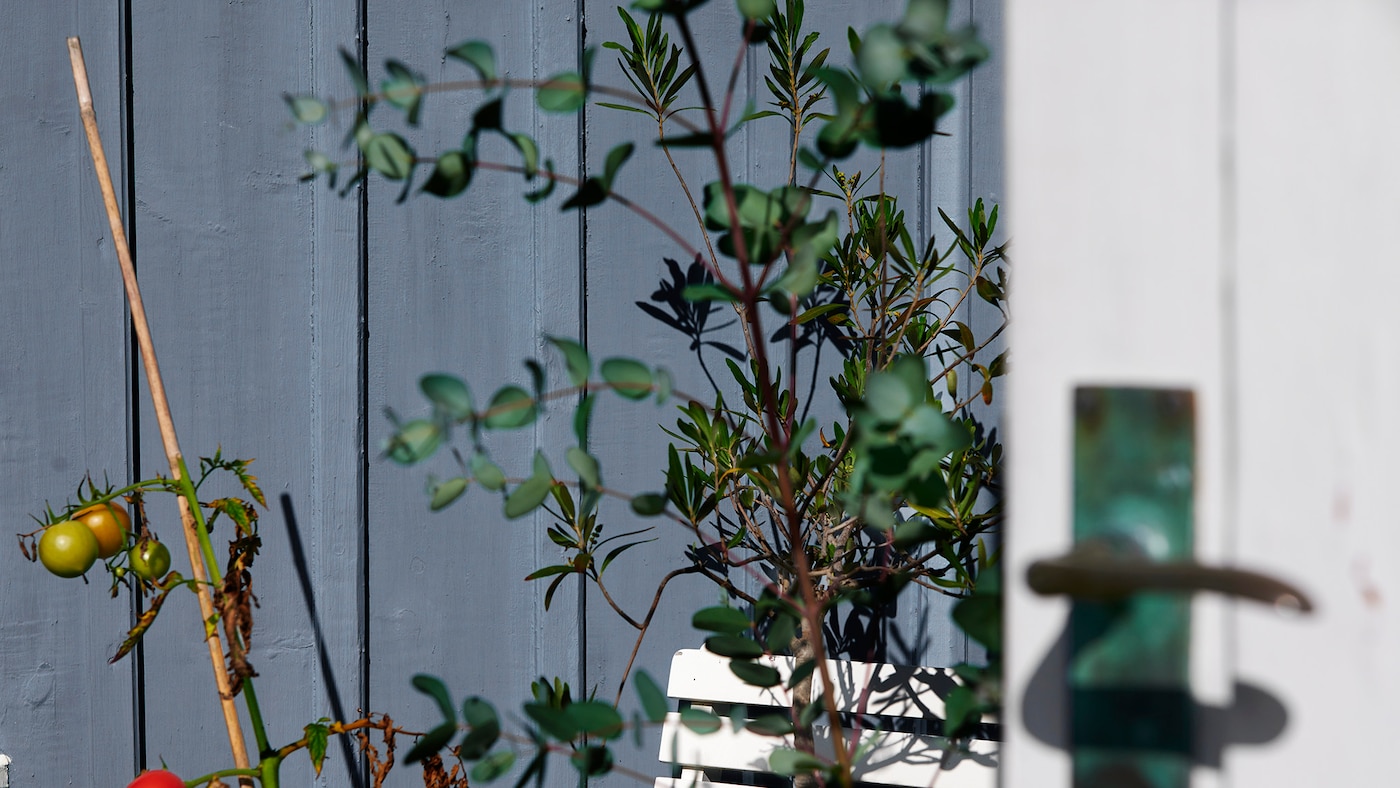 Blå træfacade farve