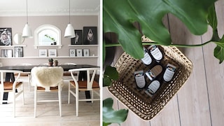 Interiør bloggernes nye favorit – prøv den nye smarte Colour Tester fra Nordsjö