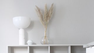 Supermatte vægge i Carla Sofie Molge`s stue