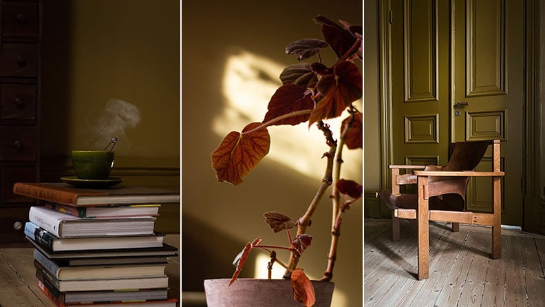 Nobel yellow, Lavish yellow hos Sofie Izard Höyer