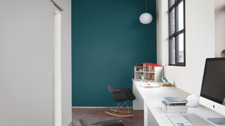 Teal - er det en farge eller en fugl?