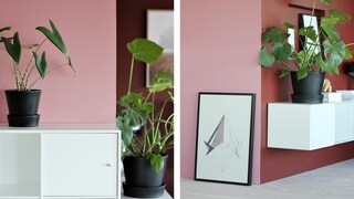 Fargerike vegger hos @nordicleaves