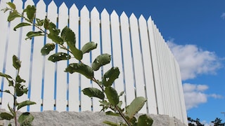 Male gjerdet på beste måte