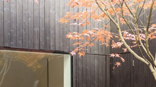 Tips for maling av hus om høsten