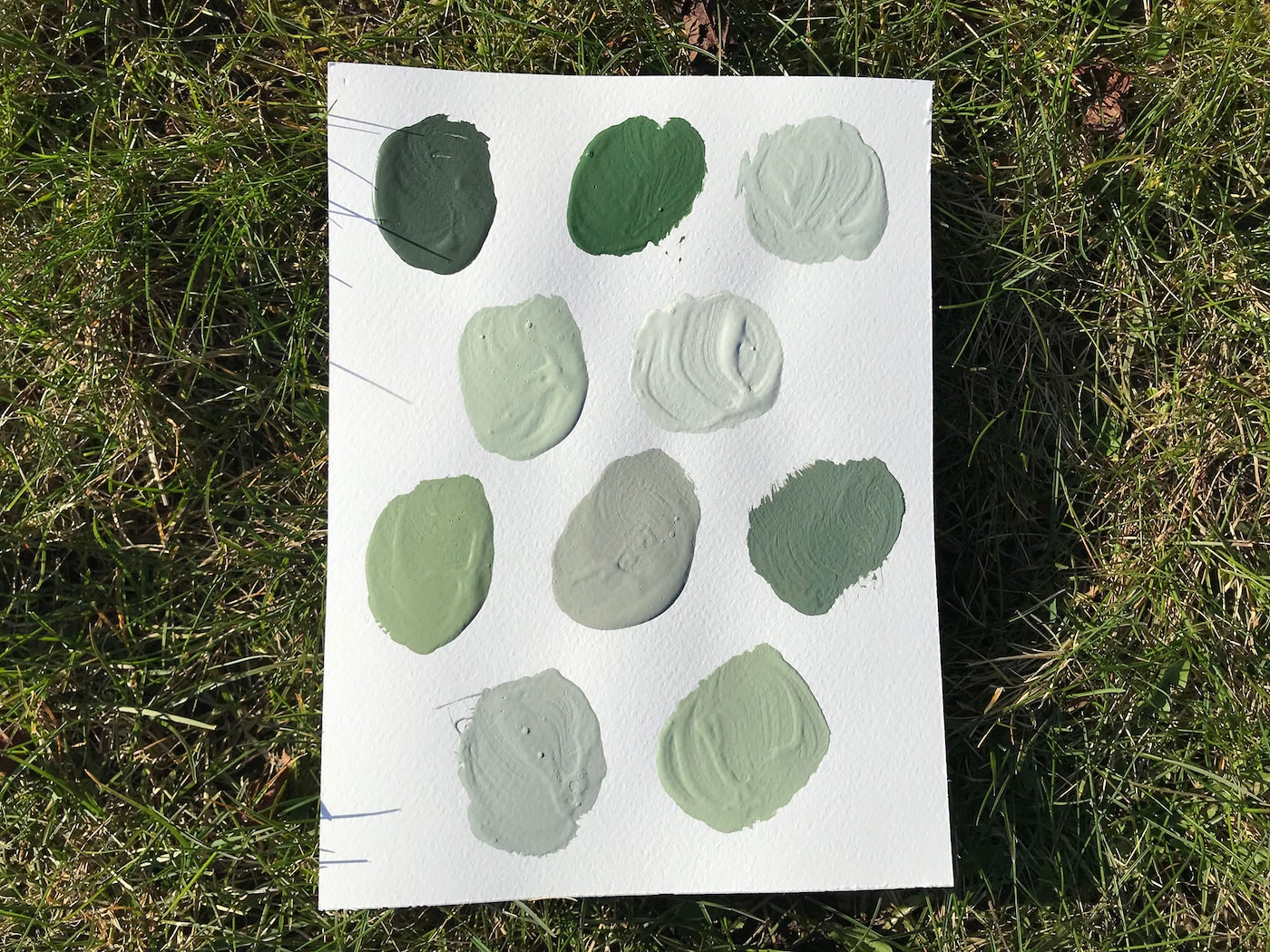 den grønne paletten