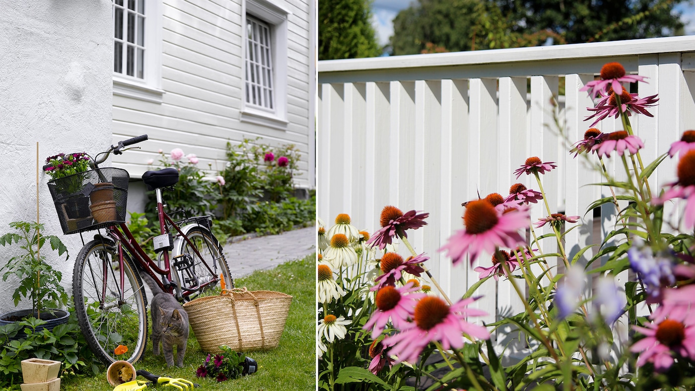 grå mur på hus malt med gråfargen softshadow