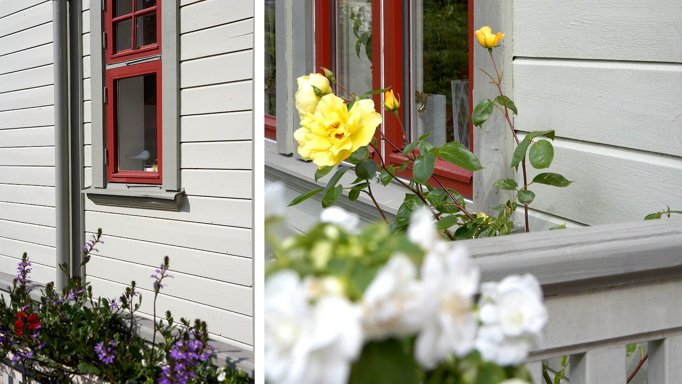 lysgrå husfarge blyertsgrå