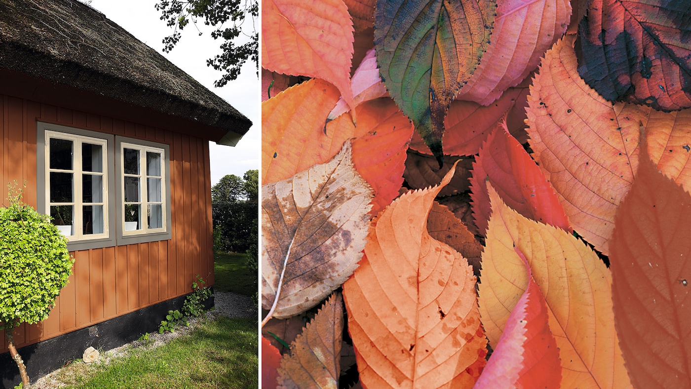 tierra sienna i fargen autumnleaf