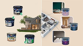 Farger til alle rom inne