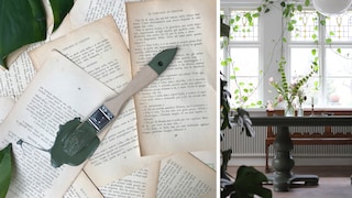 SKÖNA GRÖNA NYANSER PÅ KÖKSBORDET