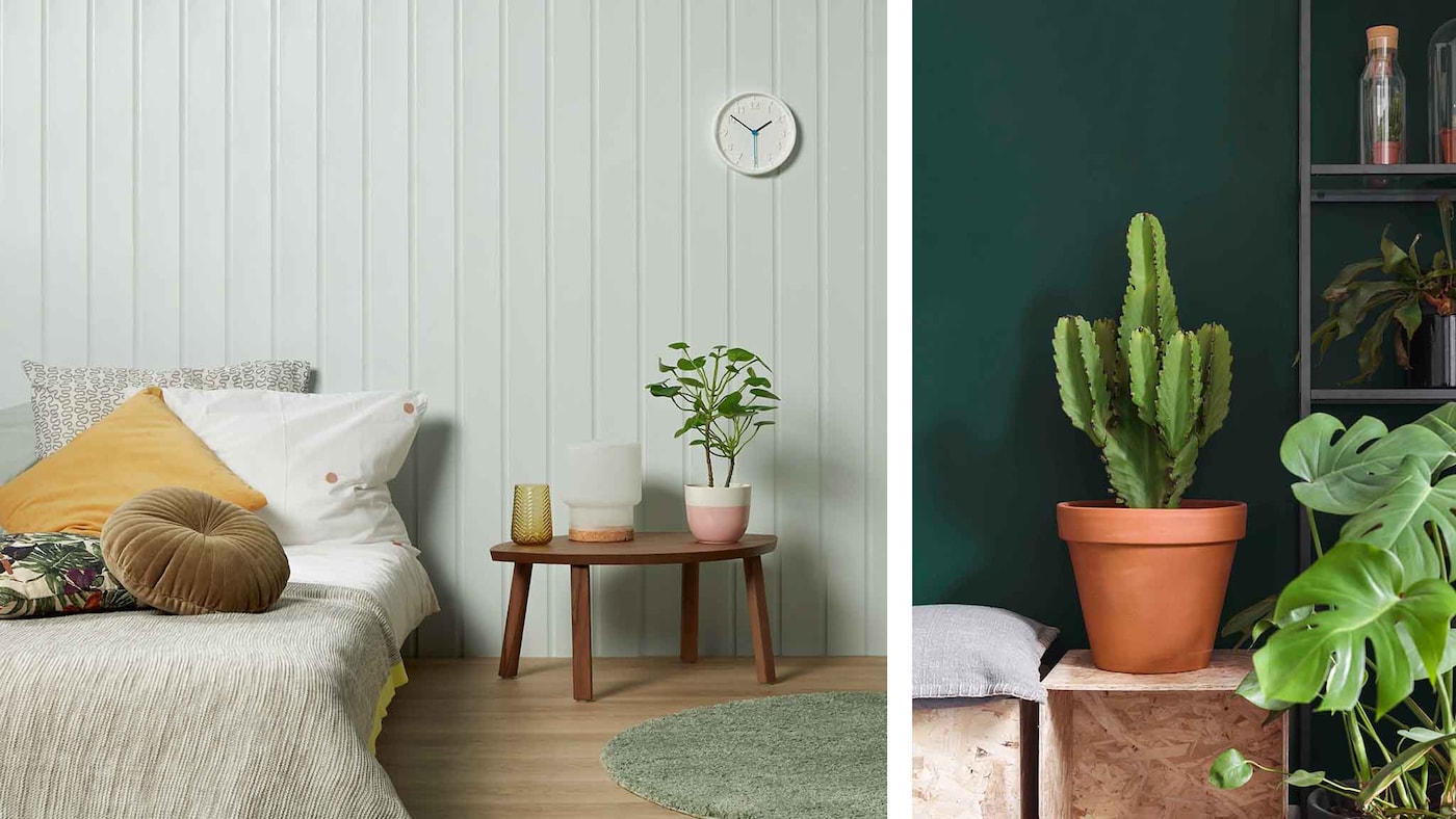 gröna sovrum, växter i sovrum, grönaväxter, sovrumsinspiration