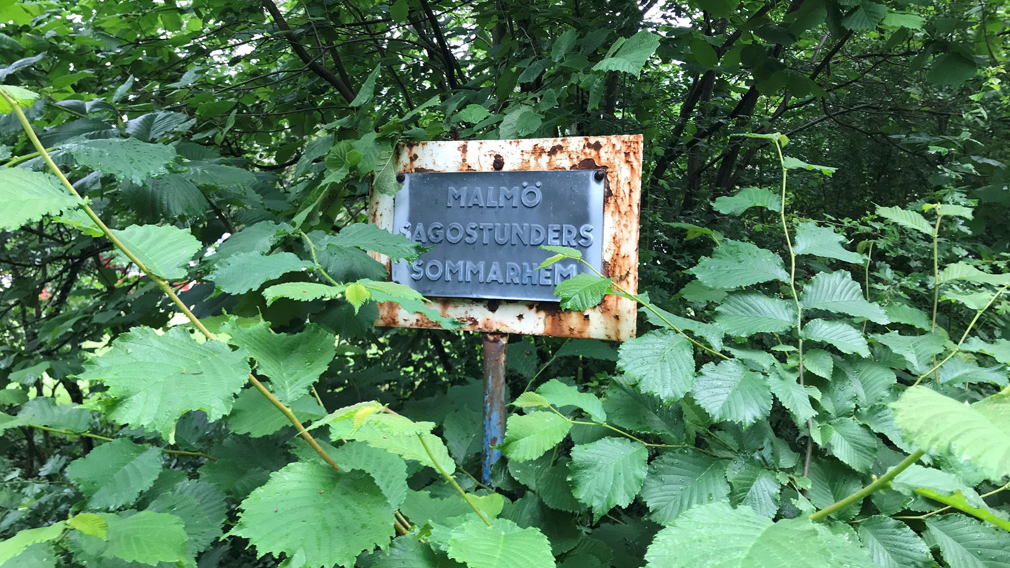 NORDSJÖ SÄTTER FÄRG PÅ SOMMARKOLLO