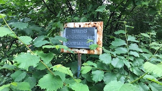 NORDSJÖ SÄTTER FÄRG PÅ SOMMARKOLLO