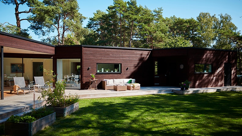 ONE transparent lasyr