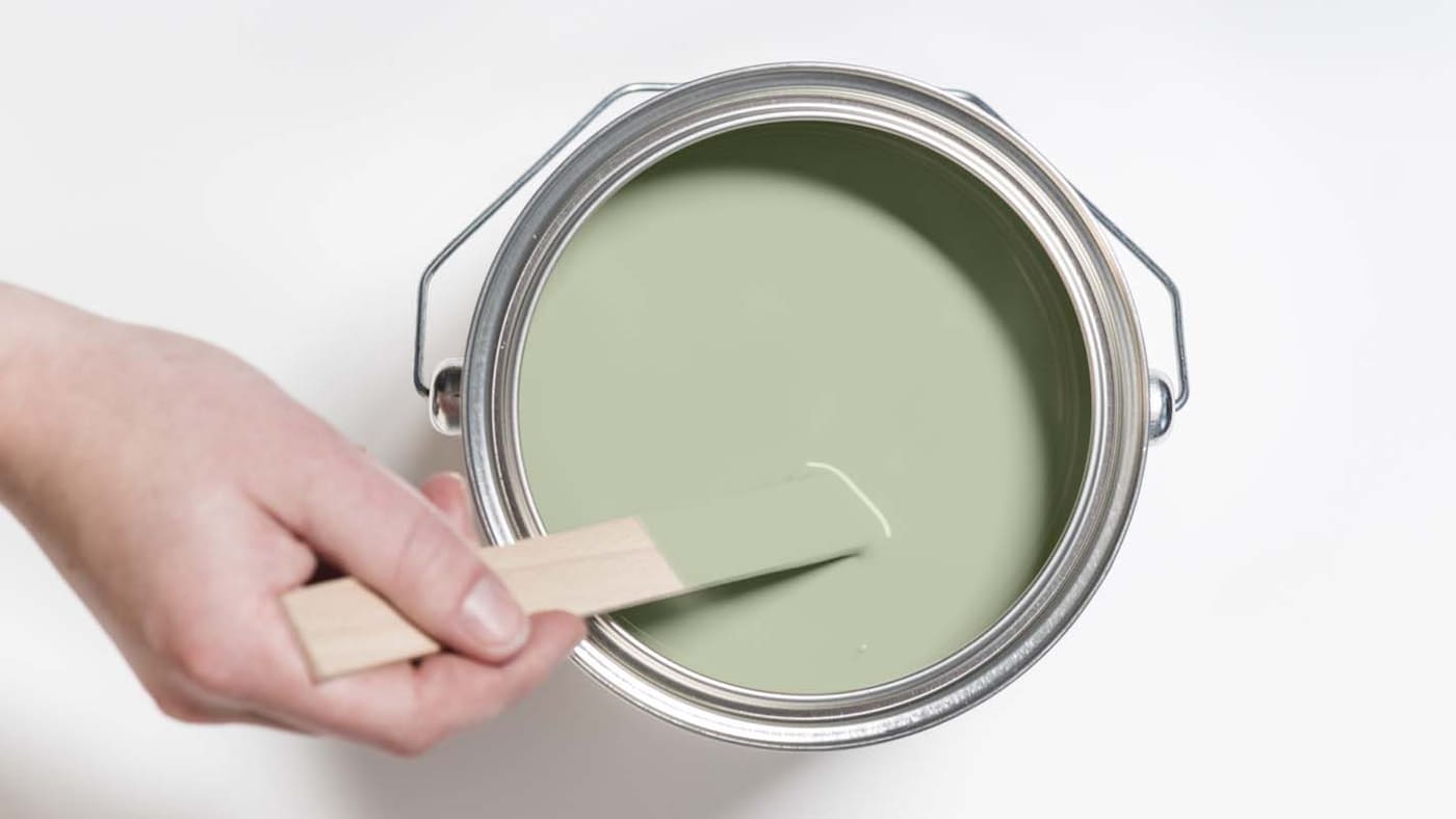 djungelrum_färgbunke