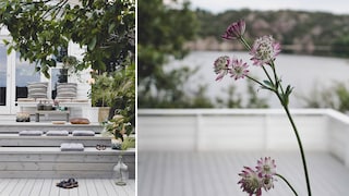 Så lyckas du med träolja för trall och trädäck