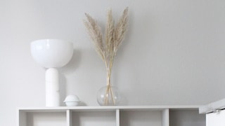 Warm Grey i vardagsrummet i hemmet till @carlasofiemolge