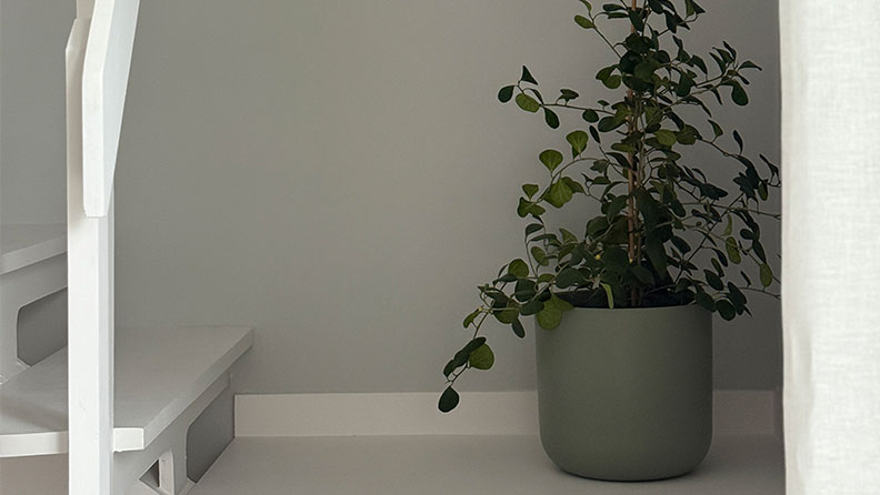 Add Simplicity Sandudden