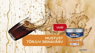 Uudne tehnoloogia, puhtad seinapinnad