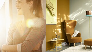 Kokį poveikį šviesa daro mūsų mėgstamoms spalvoms