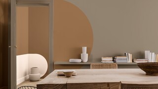 Viskas, ką reikia žinoti apie „Sadolin“ 2021 metų spalvą