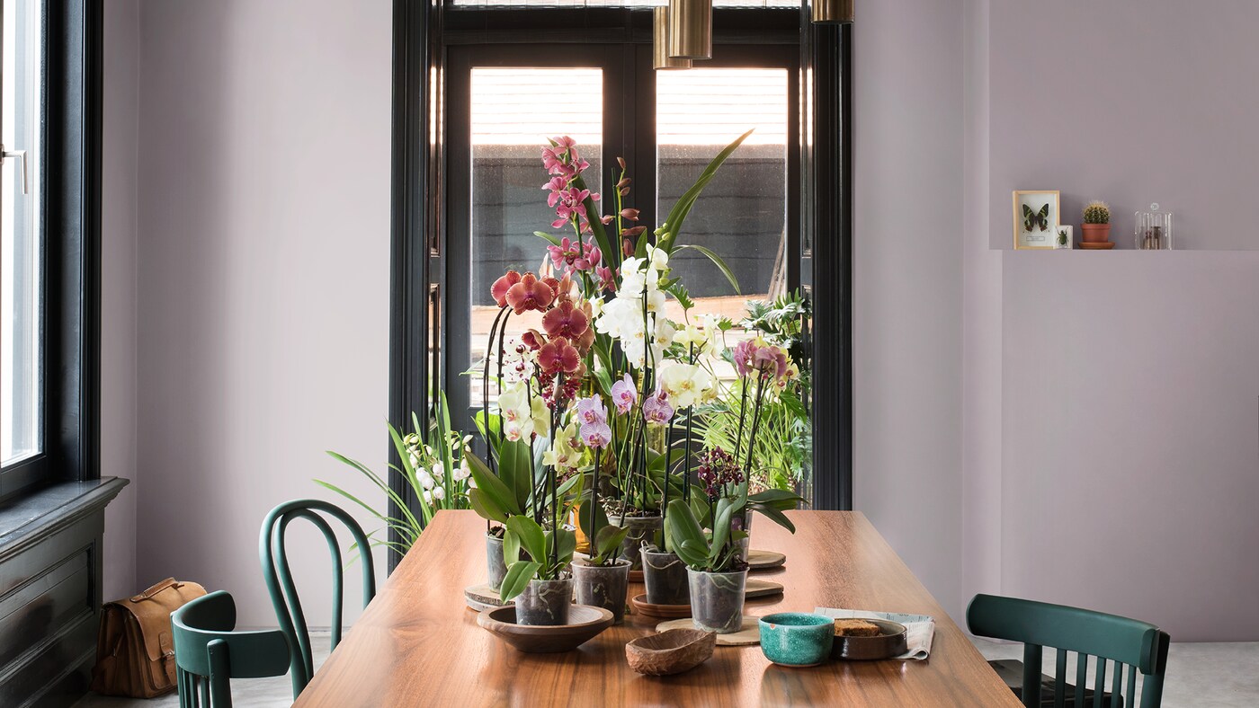 Asprātīgas krāsošanas metodes var palīdzēt atsvaidzināt vecās mēbeles, lai tās iederētos Tavā dzīvesstilā.