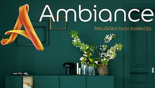 Iesaka Latvijas Dizaineru savienība