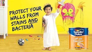 It’s not just stains but your walls carry harmful bacteria as well.